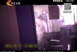 黄色免费视频,暗藏的风险与警示